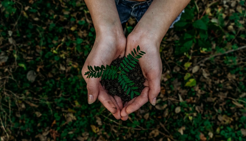 Reusable bags and eco products